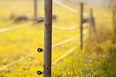 thin electric fence wires on a sunny grassy field