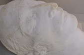 a plaster statue of a head