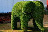 A hedge pruned into the shape of an elephant