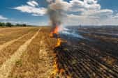 A field of dry crops burning.