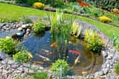 Fish pond in a landscaped yard