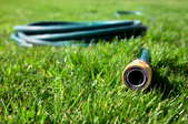 The end to a water hose sitting out on the lawn.