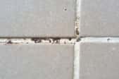 bathroom tiles with mildew on the caulking or grout
