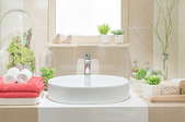 clean bright bathroom sink area by window with plants and towels
