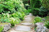 A stepping stone pathway.