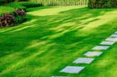 healthy green landscaped lawn with stone path