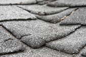 Roof Lichen Cleaning and Prevention Methods