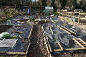Raised garden beds covered in plastic for the winter.