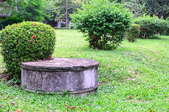 septic tank behind a bush in a yard