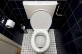 Wide angle shot from above of a white toilet and blue tiles.