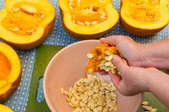 hands cleaning seeds out of pumpkins cut in half