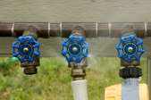 series of hose bibs on a water line
