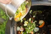 Pouring food scraps into a compost bin