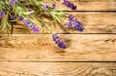 fresh lavender plant on wooden table