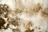 Water stained plaster