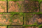 Tips to Remove Plaster to Expose a Brick Facade