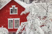 bright red house surrounded by snowy trees