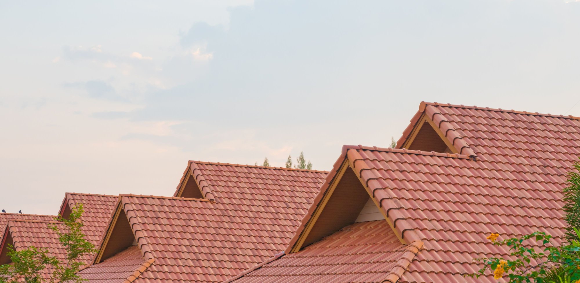 A roof with clay tiles.