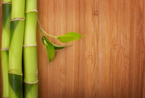 Bamboo floors.