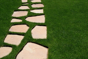 Stepping stones in a yard.