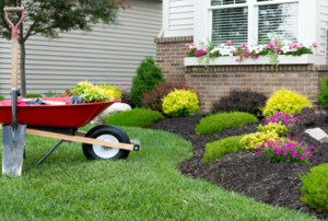 A wheelbarrow and shovel next to a berm.
