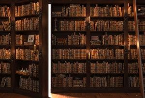 secret bookshelf door