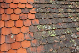 A red tile roof with algae and mold growth. 
