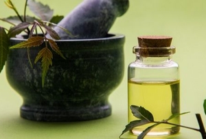 mortar and pestle with leaves and small vial of neem oil