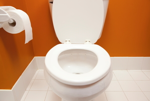 A simple, white ceramic toilet in a bathroom painted orange.