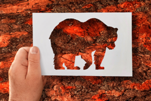 A bear stencil