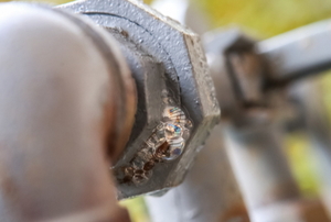 gas pipes with soap bubbles on a coupling