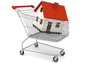 House in Shopping Cart