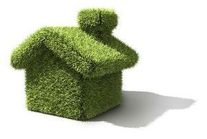 green grass house isolated