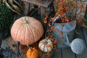 Fall front porch decor.