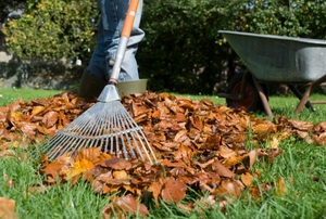 A leaf rake.