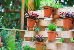 vertical gardening pallet with pots