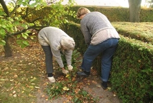 Winterizing the Lawn and Garden