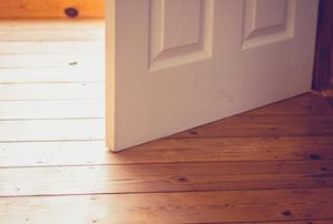 open white door and wood flooring