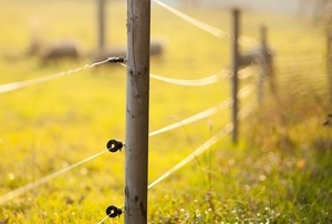 thin electric fence wires on a sunny grassy field