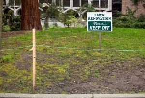 A lawn in the process of growing.
