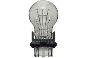 light bulb