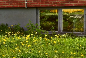 An egress window that opens onto a grassy lawn.