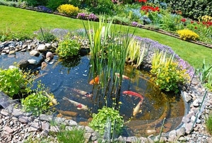 A natural looking koi pond