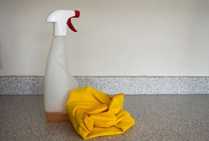 A bottle of cleaner and a clean, dry rag.