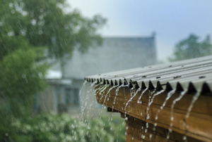 Rain hitting a tin roof