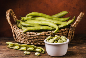 harvest of fava beans