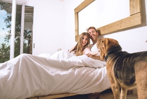 Couple in bed looking at dog