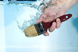 Brush