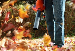 Person using a leaf blower