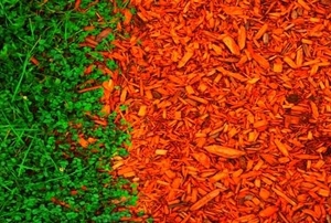 red mulch